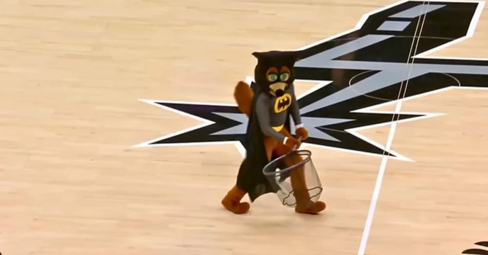 Bat Interrupts San Antonio Spurs’ vs Timberwolves Game